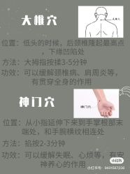 -香薇妮丝女子减肥院