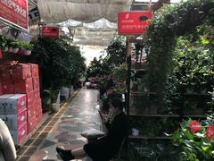 -秦美花卉(天朗·莱茵小城2期店)