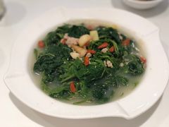 -至潮餐厅精致粤菜·活鲈鱼·走地鸡(珠江新城店)