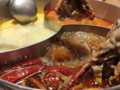 -青瓷火锅料理(西单大悦城店)