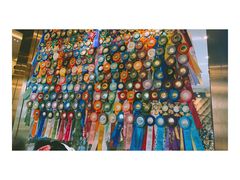 -more than meow吴止猫主题餐厅(承德 中船汇店)