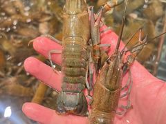 -钱小奴海鲜自助黑金店(杭州滨江龙湖店)