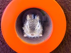 -苏州青少年科技馆