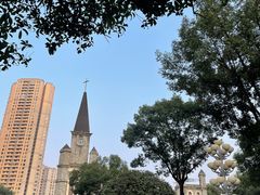 -重庆市江北嘴中央商务区中央公园