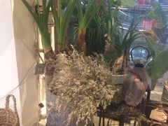 -植物学家的女儿(北马道巷店)