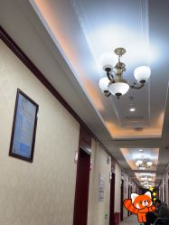 -南京医科大学友谊整形外科医院