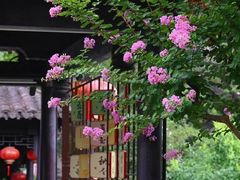 -南京民俗博物馆(甘熙故居)