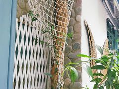 -喵屿·大理花园猫咖