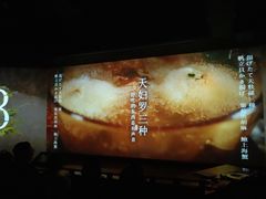 -地球美食剧场