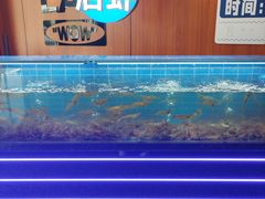 -0048鲜活香辣虾·火锅(铜陵路店)