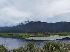 -腾冲北海湿地