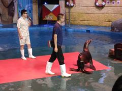 -烟台海昌鲸鲨海洋公园