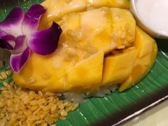 -Jungle Kitchen