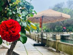 -青果巷历史文化街区