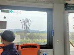 -光明小镇欢乐田园