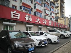 -白鹤大冷面