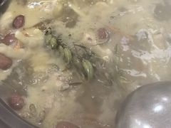 -花苑美食横琴生蚝火锅(拱北粤华路店)
