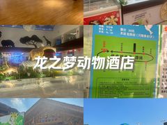 -太湖龙之梦