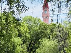 -黑龙江省森林植物园