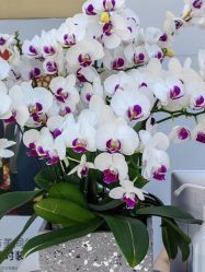 -悟空祛痘·诺奖技术专业店