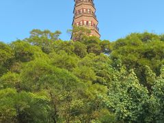 -顺峰山公园