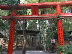 -野宫神社