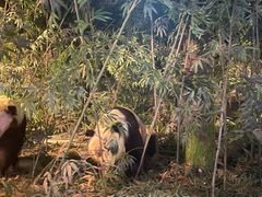 -天津自然博物馆