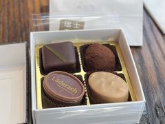 -Laderach 莱德拉(上海环贸iapm店)