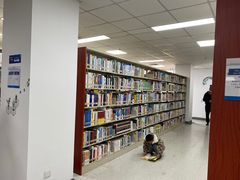 -合肥市图书馆
