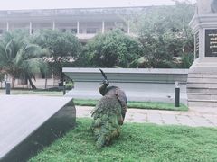 -吐斯廉屠杀博物馆