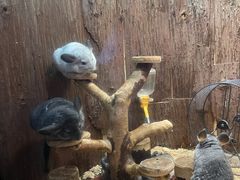 -成都浩海立方海洋公园