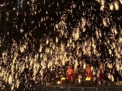 -海合安武汉极地海洋公园