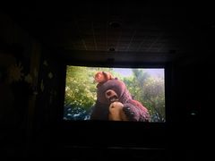 -AMG海上明珠影城(上海环球港RealDCinema店)