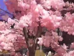 -九木杂物社(大东方百货店)