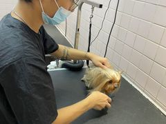 -FAELING PETS美天灵宠物(富力广场店)