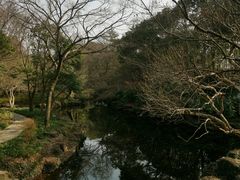 -秋霞圃