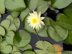 -苏州太湖国家湿地公园