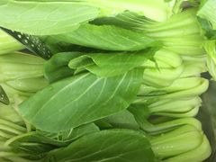 -鑫龙福麻辣烫(明洞站店)