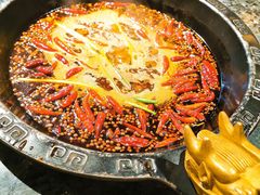 -蜀大侠火锅(建设路第五大道店)