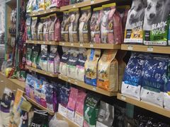 -圣宠宠物(北京疃里丛林市场店)