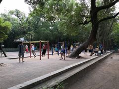 -晓港公园