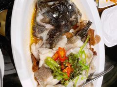 青花椒蒸龙胆鱼-闽和南(深圳万象城店)