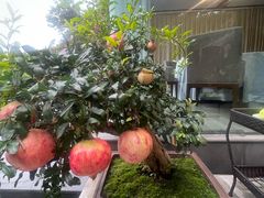 -茅庐·川粤精品私房菜(金沙遗址店)