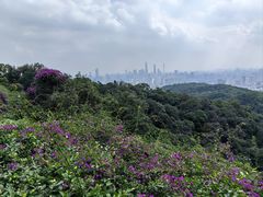 -广州市白云山风景名胜区