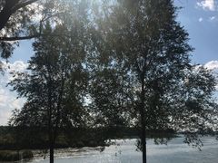 -丁香湖公园