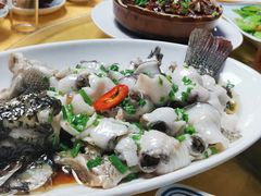 -鸽王世家(东华东路店)