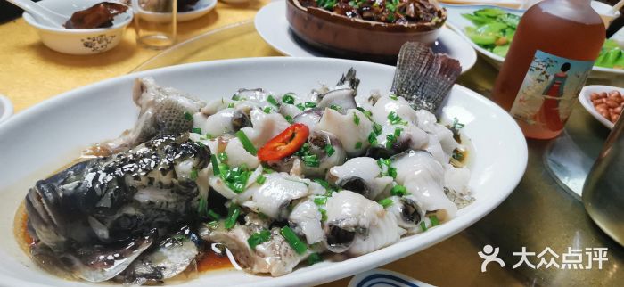 鸽王世家(东华东路店)图片