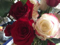 -ROSEONLY诺誓(国际广场购物中心店)