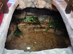-老唐三下锅 ·张家界地标美食(溪布街店)