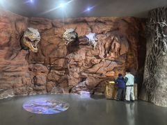 -中国西峡恐龙遗迹园